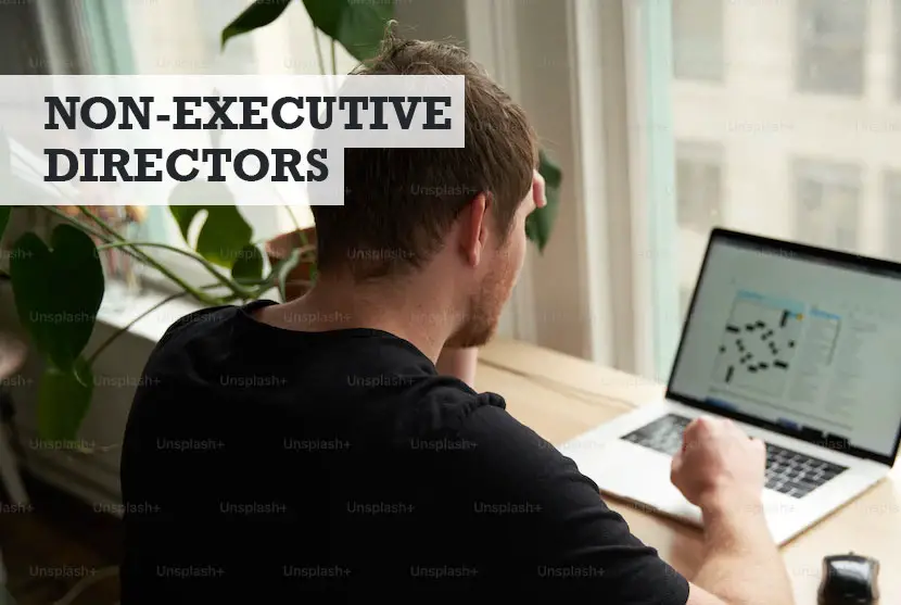 what does a non-executive director do